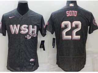 Nike Washington Nationals #22 Juan Soto City Flexbase Jersey Grey